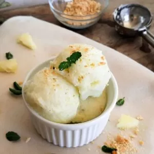 Receita-de-Sorbet-de-abacaxi-_-DeliRec-300x300